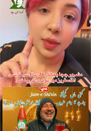 Maryam Nawaz Sharif: Leadership and Legacy