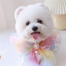 LLSB Iris Perla Perro Collar Organza enjoyado Tul Gato Cachorro Cinta  Bufanda Colgante Mascota s Collar satén (Golden,Gold : Gray,Black, Size :  Medium) : Amazon.com.mx: Productos para animales