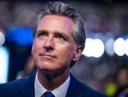 California Gov. Gavin Newsom quickly deleted an online ad after an X user  pointed out that the video used footage from Ukraine and Estonia in a  montage meant to show California.