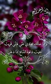 و إ ذ ا س أ ل ك ع ب اد ي ع ن ي ف إ ن ي ق ر يب أ ج يب د ع و ة الد اع إ ذ ا د ع ان ف ل ي س ت ج يب وا ل ي و ل ي Quran Verses Holy Quran Islam Quran