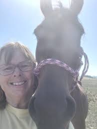 Horses and Lessons Learned