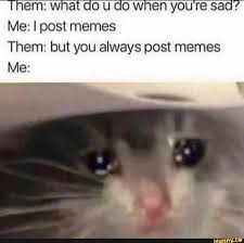Em W A Ow En Youresao Me I Post Memes Them But You Always Post Memes Me Ifunny Best Funny Photos Funny Memes Memes