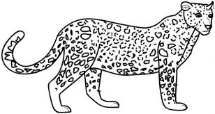 This leopard coloring pages will helps kids to focus while developing creativity, motor skills and color recognition. Leopard Coloring Pages Best Coloring Pages For Kids