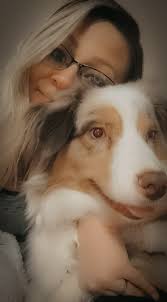 Sandy Aussies and Pomeranians