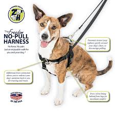 freedom harness no pull dog harness multi use velvet lining