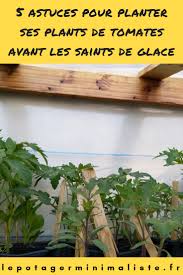 Dates des saints de glace 2018, 2019, 2020. 5 Astuces Pour Planter Ses Plants De Tomates Avant Les Saints De Glace