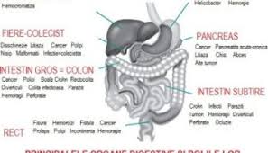 Durerile acestea pot fi localizate in dreapta jos si pot fi cauzate de De Ce Doare Burta In Stanga 0758751841 Cabinet De Gastroenterologie Si Hepatologie Bucuresti 0758751841 Cabinet De Gastroenterologie Si Hepatologie Bucuresti