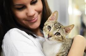 Shop chewy for the best pet supplies ranging from pet food, toys and treats to litter, aquariums, and pet supplements plus so much more! General Cat Care Aspca