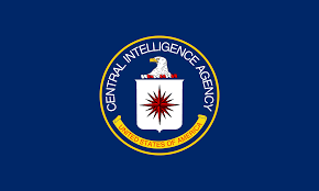Image result for Millitary Intelligence Org