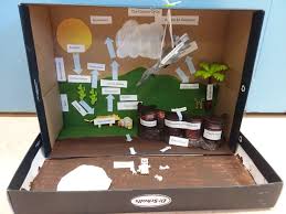 Carbon Cycle Project Covers Ngss Ms Ls1 6 And Ms Ls2 3 Ecosystems Projects Earth Science Projects Ecology Projects