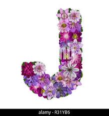 Free for commercial use ✓ no attribution. Flowers Alphabet Letter J Stock Photo Alamy