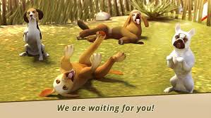 Here is a pet sport for you known as pet hotel mod apk. Dog Hotel Mod Apk 2 1 10 Download Unlimited Money For Android
