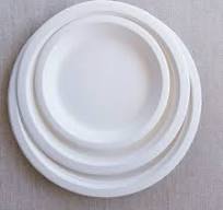 Disposable Biodegradable Sugarcane Bagasse 2 Compartment Plates |  Bioleader® Biodegradable Tableware