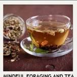 Mindful Foraging and Tea Making Workshop
