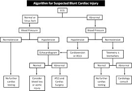 Image result for Cardiac Contusion