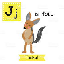 J Letter Tracing Jackal Animal Standing On Two Legs Cartoon Jackal Stock Illustration Lettering