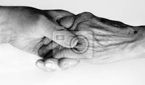 Hand Halten Leinwandbilder Bilder Opa Faltige Senior Myloview De