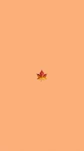 Cute Vsco Wallpapers 333 En 2020 Fond D Ecran Orange Papiers Peints Mignons Fond D Ecran Telephone