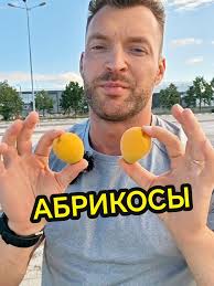 Champa Brisco Cabritos Чем Побрызгать Абрикос