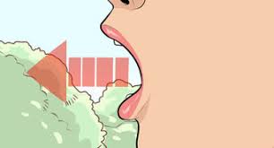 In this video i show y. How To Wolf Whistle 10 Steps With Pictures Wikihow