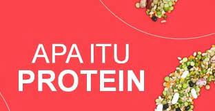 Protein perlu dibentuk, dan pembentukan atau sintesis protein berlangsung dengan melibatkan. Apa Itu Protein Pengertian Struktur Ciri Sifat Manfaat