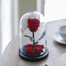Die rose ist nach dem vorbild des berühmten märchens die schöne und das. Notta Belle Rose Im Glas Individuelle Gravur Festliche Boxen