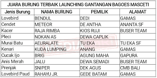 Bulunya bercorak gelap serta putih. Nama Nama Burung Kacer Jawara