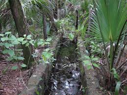 Image result for dip vat