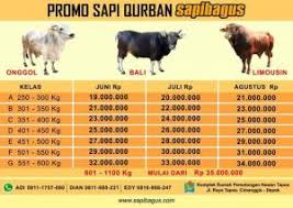 Ibadah korban akan diadakan pada hari 10 zulhijjah dan daging akan diagihkan kepada penduduk yang miskin dipelbagai kawasan. Promo Jual Sapi Qurban Dan Kambing Qurban Di Palembang Sapibagus Com