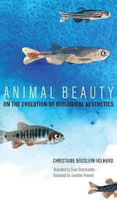 It is a real shame. Animal Beauty On The Evolution Of Biological Aesthetics Mit Press Amazon De Nusslein Volhard Christiane Grutzmacher Suse Fremdsprachige Bucher