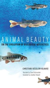 In fachveröffentlichungen wird ihr name teilweise mit cnv abgekürzt. Animal Beauty On The Evolution Of Biological Aesthetics The Mit Press Nusslein Volhard Christiane Grutzmacher Suse 9780262039949 Amazon Com Books
