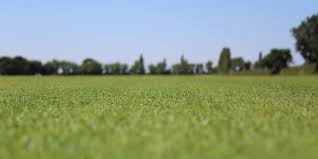 Check spelling or type a new query. How To Get A Golf Course Lawn A Step By Step Guide Golfmagic