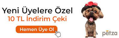 kopeklerin hamilelik suresi ne kadar petza