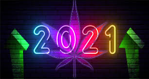 Why do people think 2021 will be better than 2020? 2021 Could Be A Good Year For Marijuana Stocks Marijuana Stocks Cannabis Investments And News Roots Of A Budding Industry