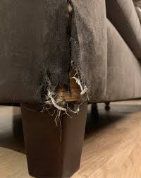 Check spelling or type a new query. Is This Dog Chewed Corner Of My Couch Fixable Fixit