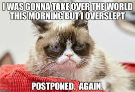 Tomorrow Is Another Day Funny Grumpy Cat Memes Grumpy Cat Grumpy Cat Quotes