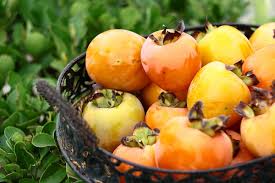 Le Kaki Fait Il Grossir Le Blog Anaca3 Com Fruit Kaki Gout Sucre Aliment Regime
