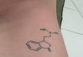 Next fast idea to the tattoo a3. Hamiltonmorris Auf Twitter A Dmt Forearm Tattoo That Actually Depicts Gramine