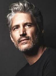 Pin By Katalina Leon On Gray Hair Grey Hair Men Handsome Men Mens Hairstyles
