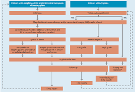 Diagnosis Of Gastritis Review From Early Pathological