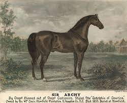 There are many beautiful horses in the world, but some horses are definitely troublemakers. Thoroughbred People S Equine Legends Series Sir Archy Thoroughbred People Blog Thoroughbred People Blog