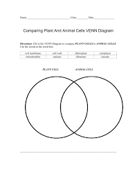 Plant cell and animal cell differences (plant cell vs animal cell). Plant Animal Cell Venn Diagram Worksheet