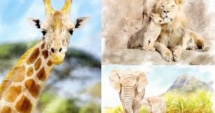 Fondo de pantalla hd 1080p de msi. Fondos De Pantalla National Geographic Para Amantes De Los Animales