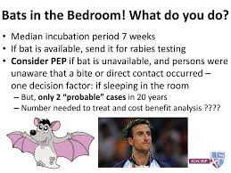 Maybe you would like to learn more about one of these? Rabies When The Bite Is Worse Than The Bark Ppt Download
