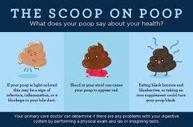 Eating a lot but not pooping. Poop Appearance The Scoop On Your Poop S Size Shape Color
