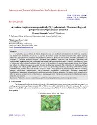 Image result for Phyllanthus odontadenius
