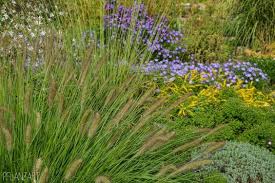 Karl Forster Garten In Potsdam Bornim Pflanzart Pflanzen Garten Gartenraum
