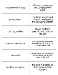 Flash Cards Covering The Terminology That Will Be Introduced When Discussing The Cell As A Un Medical Terminology Flash Cards Vocabulary Flash Cards Flashcards