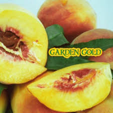 We did not find results for: Garden Gold Miniature Peach Tree Now Available At One Green World