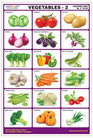 Amazon Com Spectrum Vegetables 2 Pre Primary Kids Learning